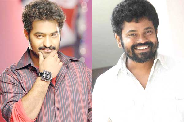 ntr and sukumar movie from june 1st week,ntr movie in london,rakul preeth singh,devisri prasad  జూన్‌ ఫస్ట్‌ వీక్‌లో ఎన్టీఆర్‌ సినిమా స్టార్ట్‌.!